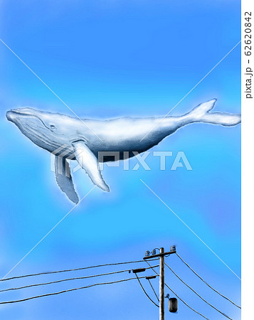 空を飛ぶ鯨のイラスト素材