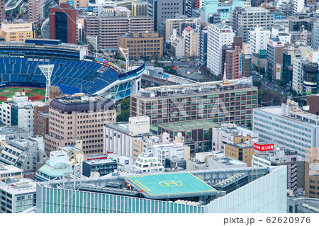 日本の横浜都市景観 横浜市役所などを望む=2020年2月4日撮影 日本の横浜都市景観 横浜市役所などを望む=2020年2月4日撮影 62620976