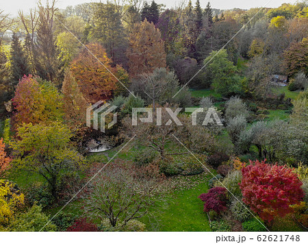 Aerial view of beautiful colorful garden during autumn season.  62621748
