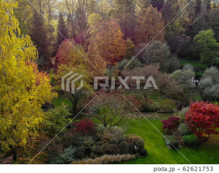 Aerial view of beautiful colorful garden during autumn season.  62621753
