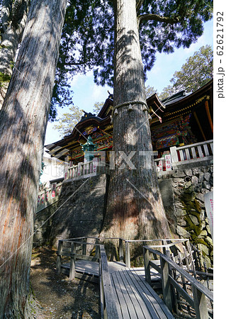 三峯神社 御神木 三峯神社 御神木 62621792