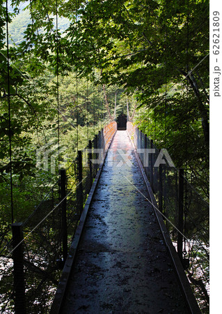山梨県/ 西沢渓谷 二俣吊橋（二俣吊り橋） 62621809