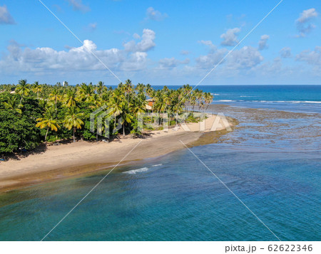 Aerial view of tropical white sand beach, palm trees and turquoise clear sea water in Praia do Forte 62622346