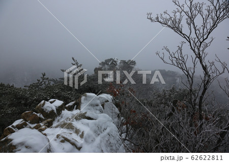 冬の木 雪景色 松 62622811