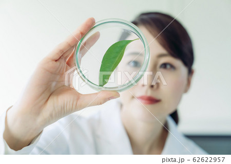 バイオテクノロジー 62622957