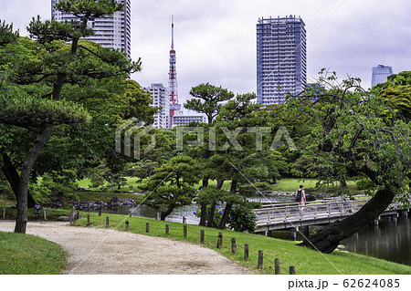 (東京都)東京の安らぎ空間、浜離宮恩賜庭園 初夏 (東京都)東京の安らぎ空間、浜離宮恩賜庭園 初夏 62624085