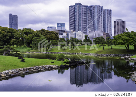 (東京都)東京の安らぎ空間、浜離宮恩賜庭園 初夏 (東京都)東京の安らぎ空間、浜離宮恩賜庭園 初夏 62624107