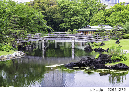 （東京都）東京の安らぎ空間、浜離宮恩賜庭園　初夏 62624276