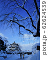弘前城雪燈籠まつり 62624539