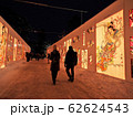 弘前城雪燈籠まつり 62624543