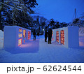 弘前城雪燈籠まつり 62624544