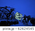 弘前城雪燈籠まつり 62624545