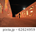 弘前城雪燈籠まつり 62624959
