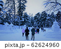 弘前城雪燈籠まつり 62624960
