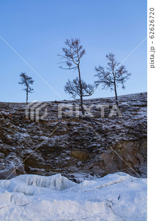 Trees in winter on cliff, landscape image 62626720
