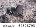 捨てられたドラム缶 62628793