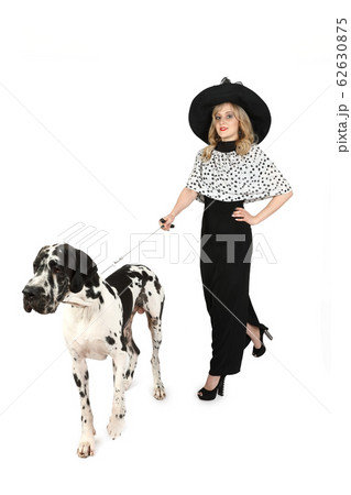 Young adult woman with a large Great Dane dog Young adult woman with a large Great Dane dog 62630875
