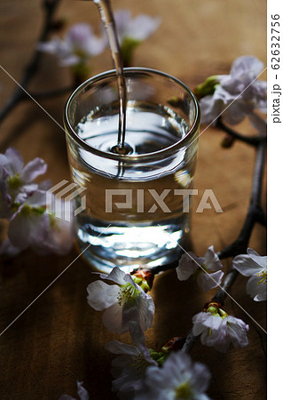 冷酒でお花見 62632756