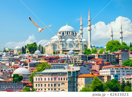 Suleymaniye Mosque in Istanbul 62633023