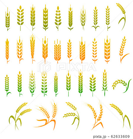 Cereals icon set with rice, wheat, corn, oats, rye, barley. Concept for organic products label, harvest and farming, grain, bakery, healthy food. 62633609