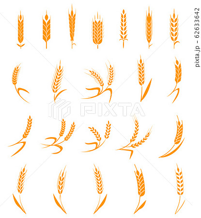 Set of simple and stylish Wheat Ears icons and design elements for beer, organic local farm fresh food, bakery themed design. 62633642