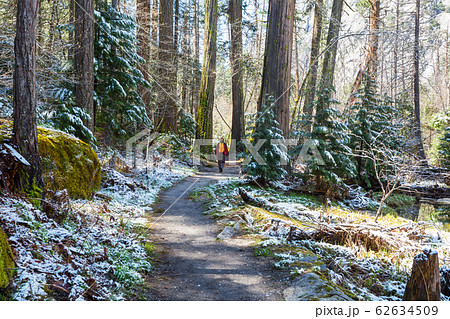 Hike in the forest 62634509
