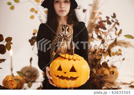 Charming woman in Halloween costume 62635505
