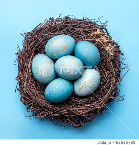 Easter eggs in nest on blue background. 62635739