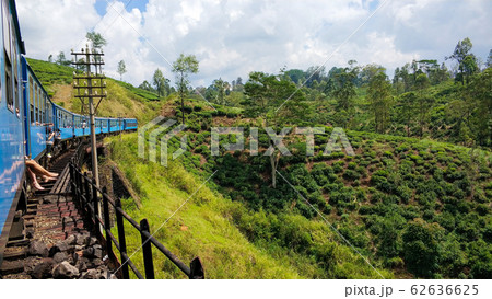 Passenger train with tourists rides through the 62636625
