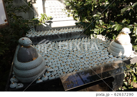 白蛇神社の白蛇様（撫で蛇様） 川越熊野神社境内　川越市 62637290