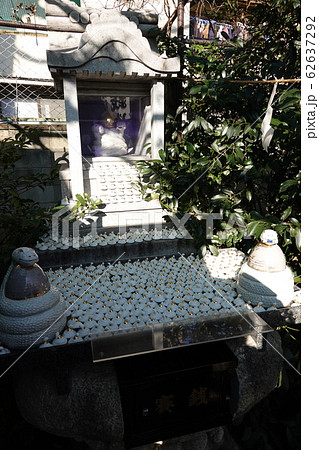 白蛇神社の白蛇様（撫で蛇様） 川越熊野神社境内　川越市 62637292