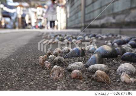 足ふみ健康ロード（参道） 川越熊野神社　川越市 62637296