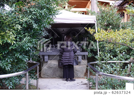 むすびの庭 川越熊野神社　川越市 62637324