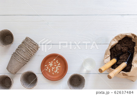 Eco friendly pots for seedlings cucumber Eco friendly pots for seedlings cucumber 62637484