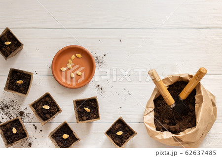 Eco friendly pots for seedlings 62637485