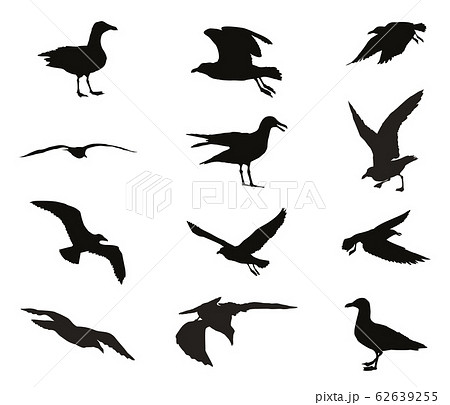 Set of silhouettes of seagulls 62639255