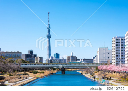 (東京都-都市風景)春の旧中川から見るスカイツリー２ 62640792