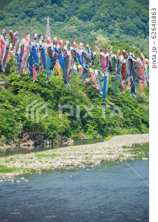 泳げ鯉のぼり 相模川 の写真素材