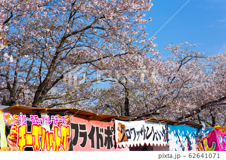 母智丘神社の桜祭り 62641071