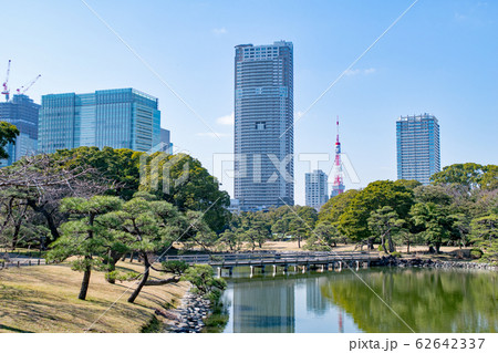 東京都 浜離宮恩賜庭園 横堀と東京タワー 東京都 浜離宮恩賜庭園 横堀と東京タワー 62642337