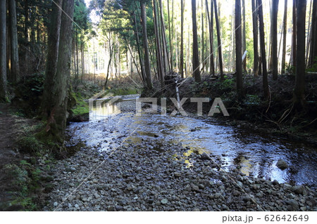 桑ノ木の滝(道しるべ・コケ・滝)・日本の滝100選 【和歌山県新宮市相賀】 桑ノ木の滝(道しるべ・コケ・滝)・日本の滝100選 【和歌山県新宮市相賀】 62642649