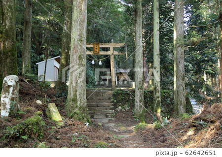 桑ノ木の滝（道しるべ・コケ・滝）・日本の滝100選　【和歌山県新宮市相賀】 62642651