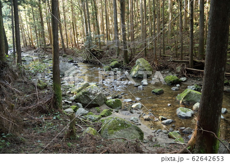 桑ノ木の滝(道しるべ・コケ・滝)・日本の滝100選 【和歌山県新宮市相賀】 桑ノ木の滝(道しるべ・コケ・滝)・日本の滝100選 【和歌山県新宮市相賀】 62642653