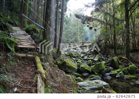 桑ノ木の滝(道しるべ・コケ・滝)・日本の滝100選 【和歌山県新宮市相賀】 桑ノ木の滝(道しるべ・コケ・滝)・日本の滝100選 【和歌山県新宮市相賀】 62642675
