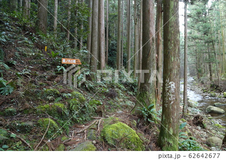 桑ノ木の滝(道しるべ・コケ・滝)・日本の滝100選 【和歌山県新宮市相賀】 桑ノ木の滝(道しるべ・コケ・滝)・日本の滝100選 【和歌山県新宮市相賀】 62642677