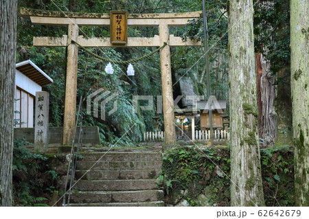 桑ノ木の滝(道しるべ・コケ・滝)・日本の滝100選 【和歌山県新宮市相賀】 桑ノ木の滝(道しるべ・コケ・滝)・日本の滝100選 【和歌山県新宮市相賀】 62642679