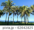 [ ハワイ ] ワイキキビーチをお散歩 62642825
