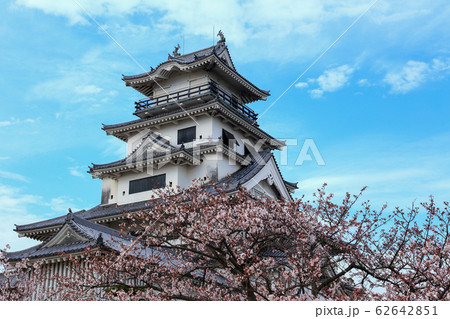 桜と今治城 62642851