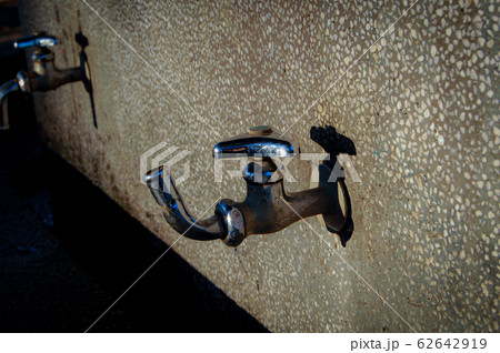 蛇口 蛇口 62642919