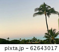 [ ハワイ ] 早起きハワイ！ワイキキビーチをお散歩して撮影してみた 62643017